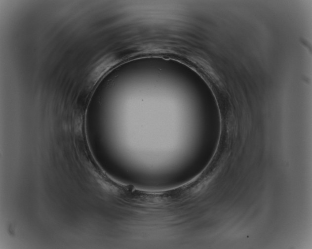 X0000093371273200710111430