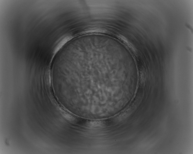X0000093371274200710111430