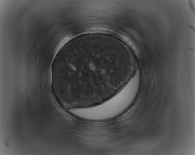 X0000093371275200710111430