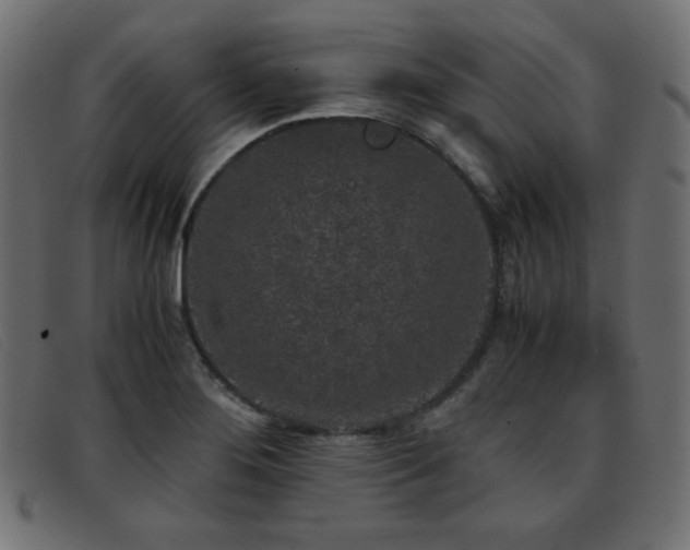 X0000093371276200710111430