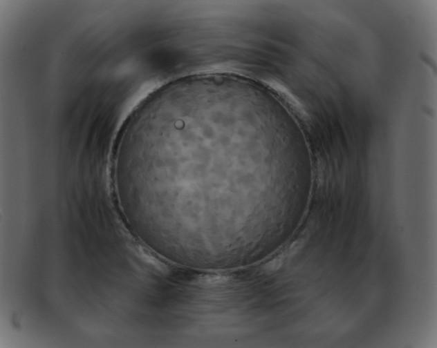 X0000093371278200710111430