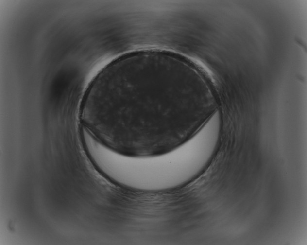X0000093371279200710111430