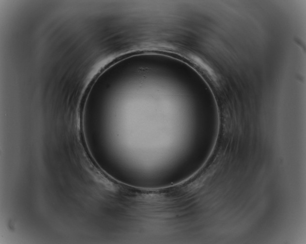 X0000093371280200710111430