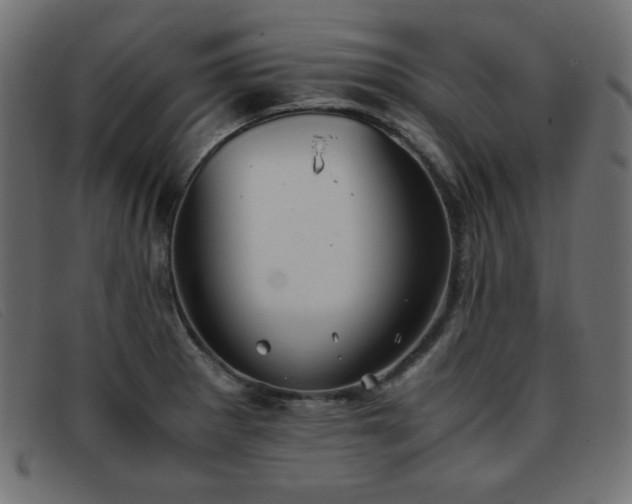 X0000093371281200710111430
