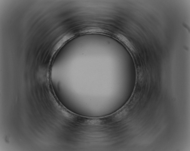 X0000093371282200710111430