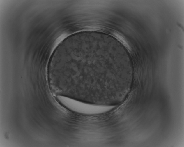 X0000093371283200710111430