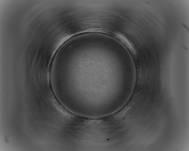X0000093371284200710111430