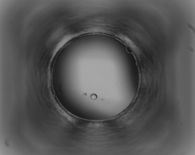 X0000093371286200710111430