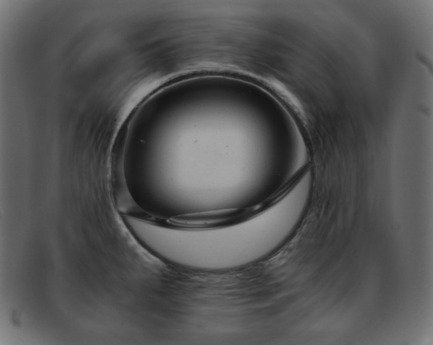 X0000093371287200710111430
