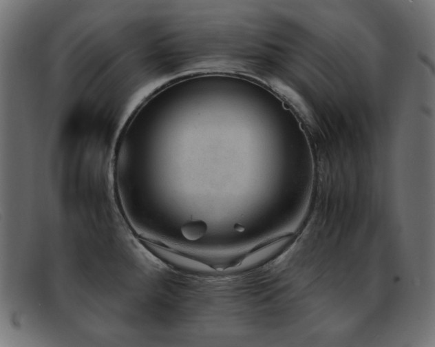 X0000093371288200710111430