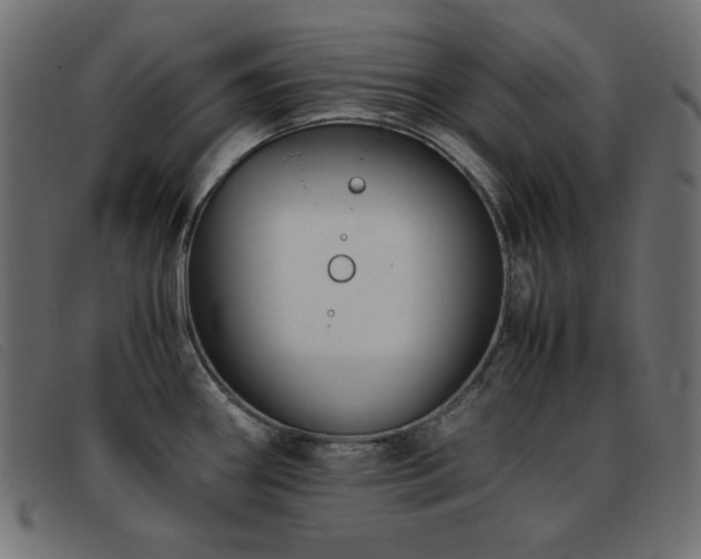 X0000093371290200710111430