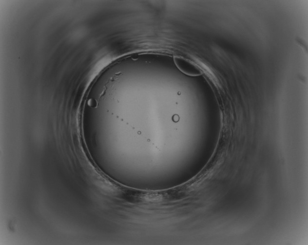 X0000093371291200710111430