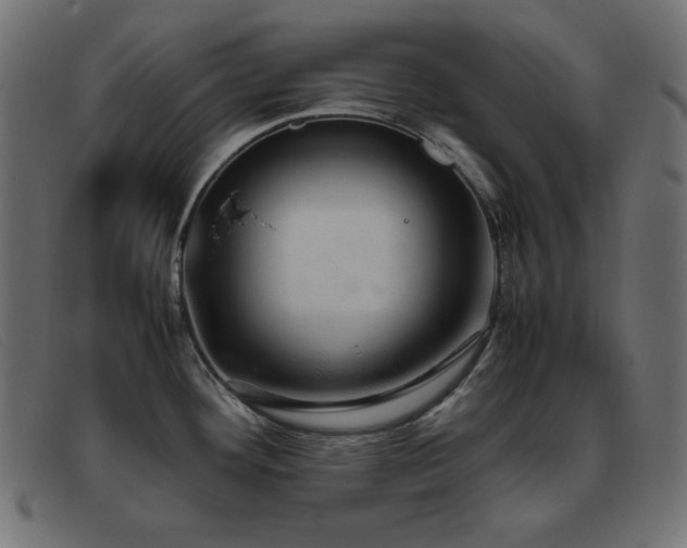 X0000093371292200710111430