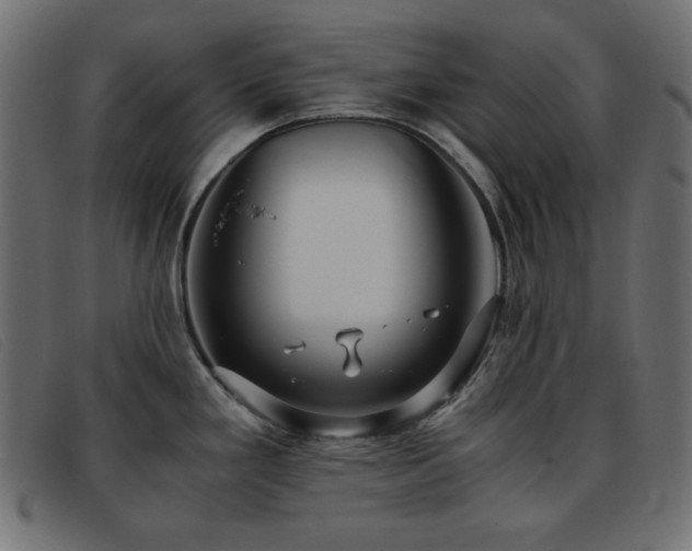X0000093371293200710111429
