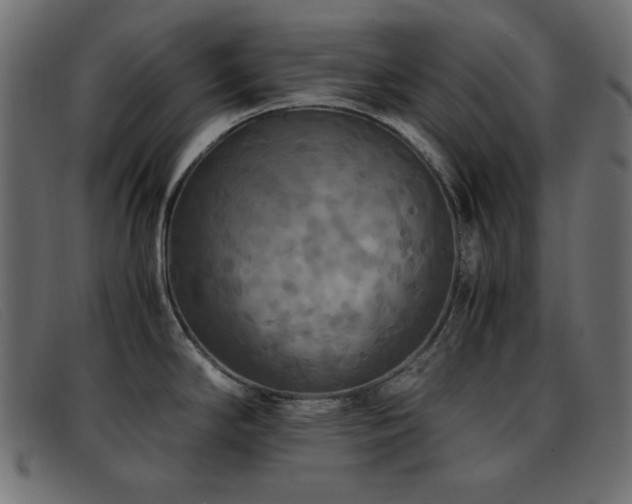 X0000093371294200710111429