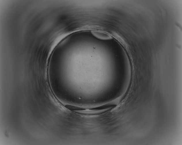X0000093371296200710111429