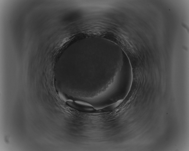 X0000093371297200710111429