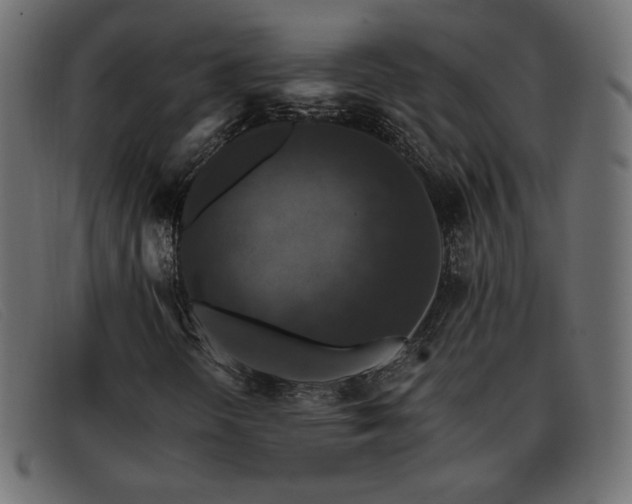 X0000093371298200710111429