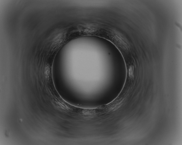 X0000093371299200710111429