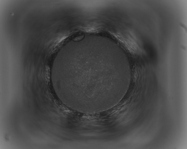 X0000093371301200710111429