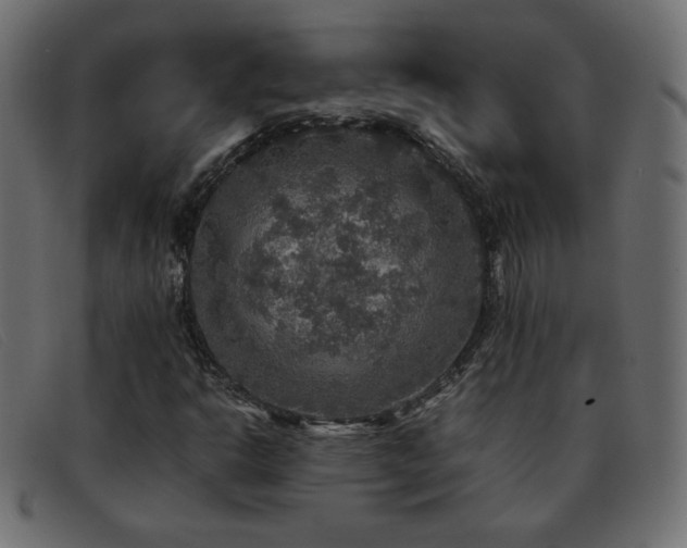 X0000093371302200710111429