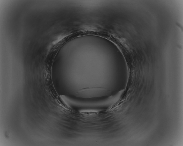 X0000093371303200710111429