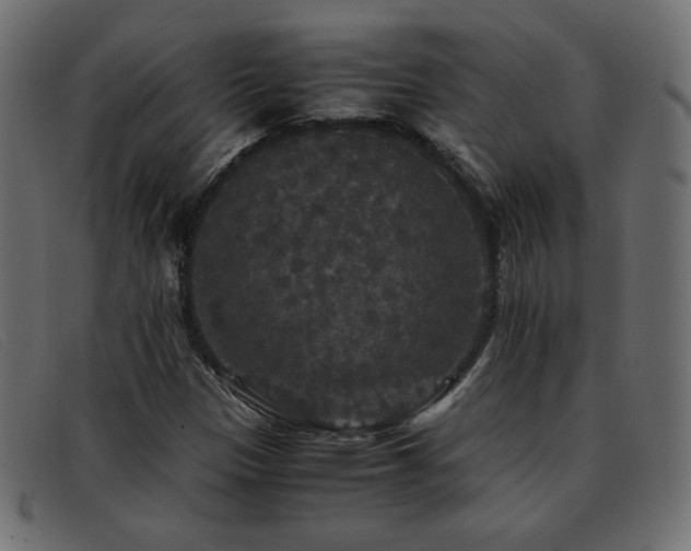 X0000093371305200710111429