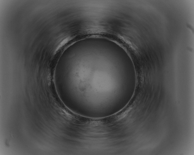 X0000093371306200710111429