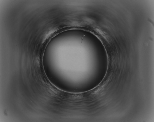 X0000093371307200710111429
