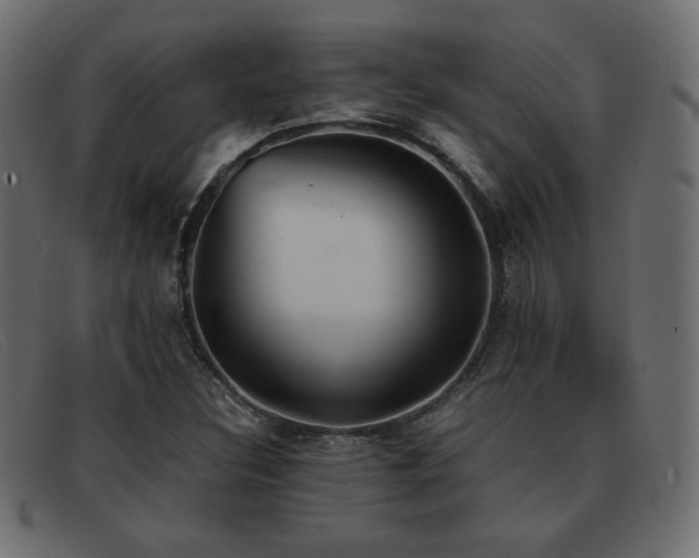 X0000093371308200710111429