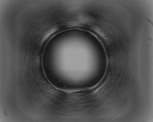 X0000093371309200710111429