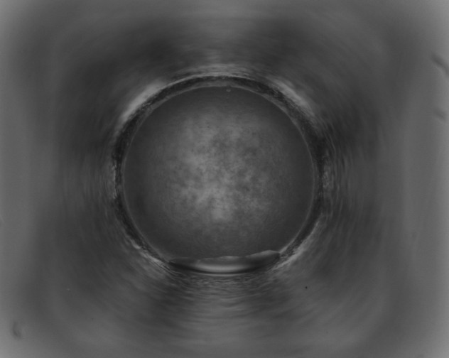 X0000093371310200710111429