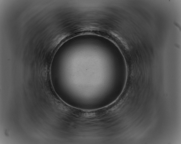 X0000093371313200710111429