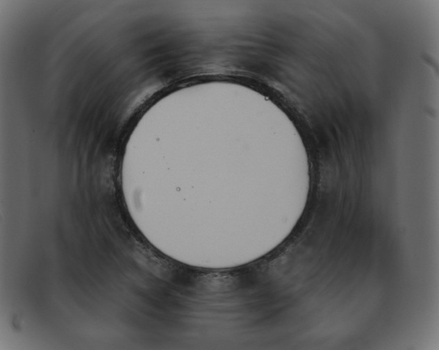 X0000093371314200710111429