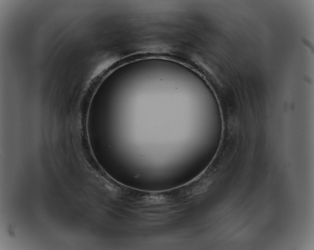 X0000093371315200710111429