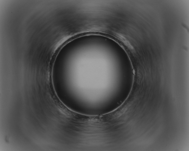 X0000093371316200710111429