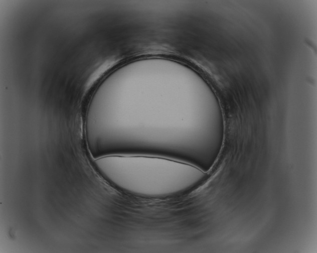 X0000093371317200710111429