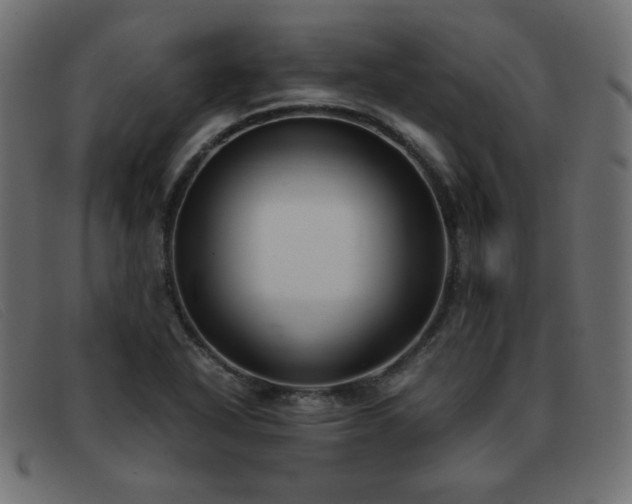 X0000093371318200710111429