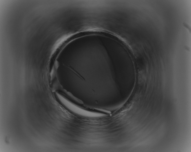 X0000093371319200710111429