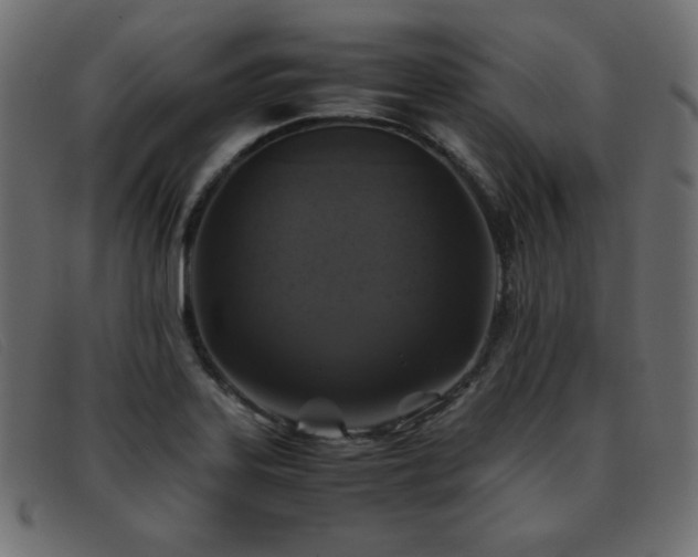 X0000093371323200710111429