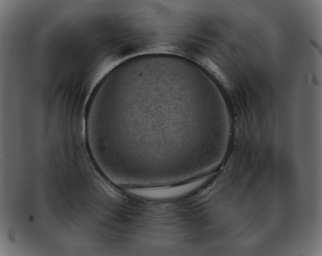 X0000093371324200710111429