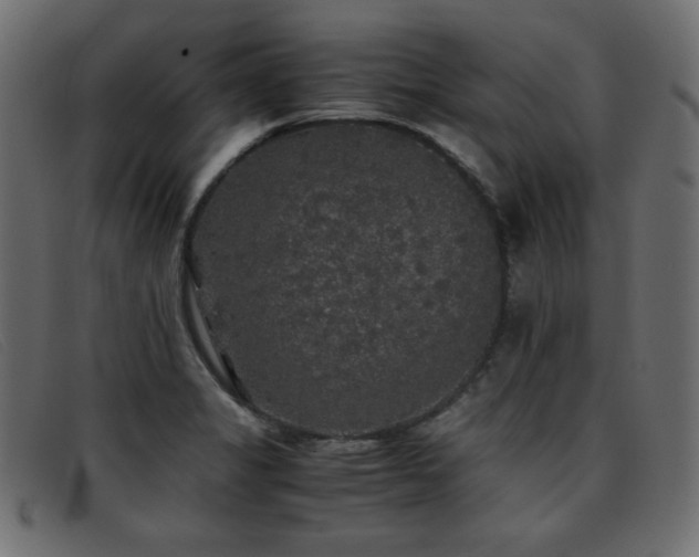 X0000093371325200710111429
