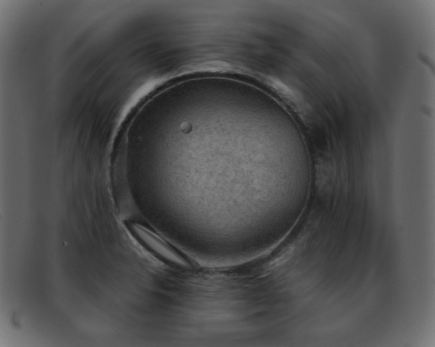 X0000093371326200710111429
