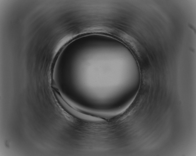 X0000093371328200710111429