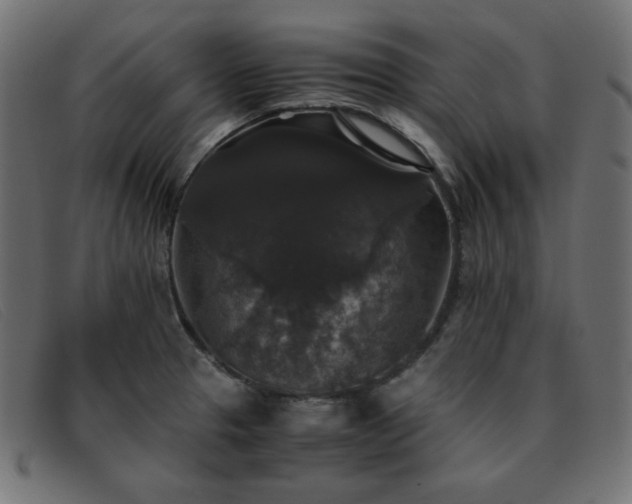 X0000093371329200710111429
