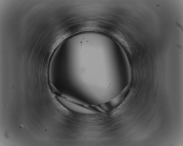 X0000093371330200710111429