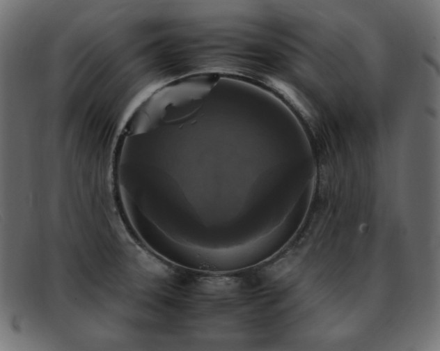 X0000093371331200710111429