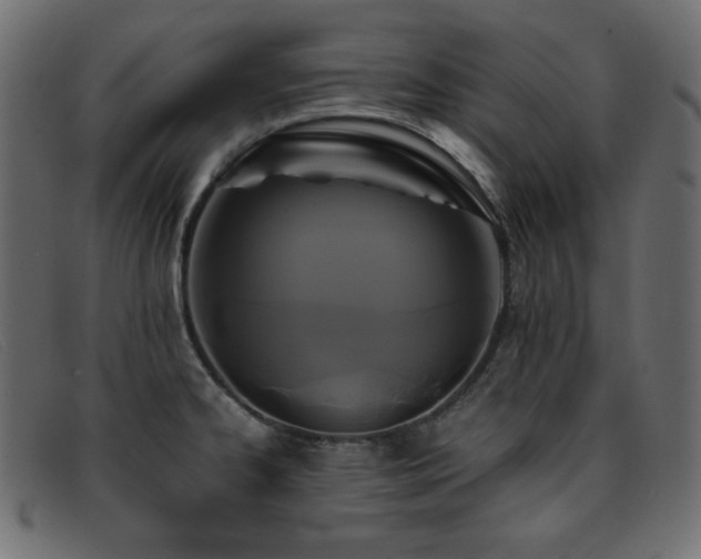 X0000093371334200710111429