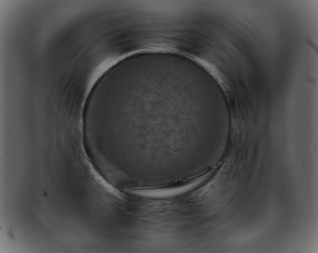 X0000093371335200710111429