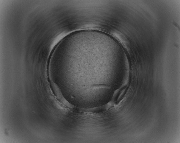 X0000093371336200710111429